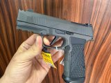 Sig Sauer P365 AXG Legion 17+1